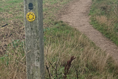 IMG_20250911_103423400-scaled