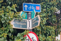 IMG_20250911_104749425-scaled