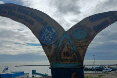 IMG_20250911_111251214_HDR-scaled